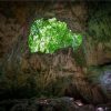 The Haitises National Park line cave