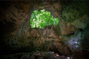 The Haitises National Park line cave