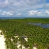 Saona Island10