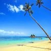 Saona Island15