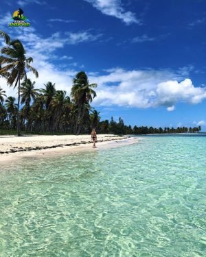 saona island