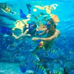 catalina island snorkeling saona dreams dominican republic excursion