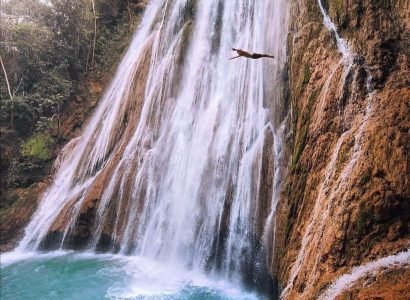 Salto del limon bisita pribatua - El limon ur-jauziaren bisita pribatua (6)